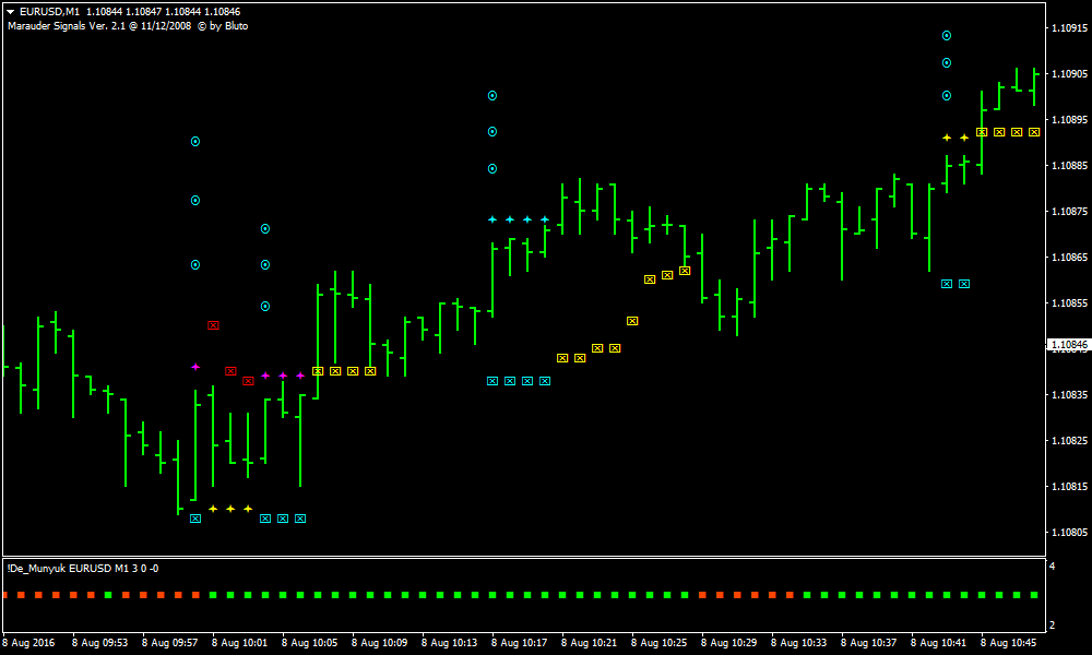 velocity market