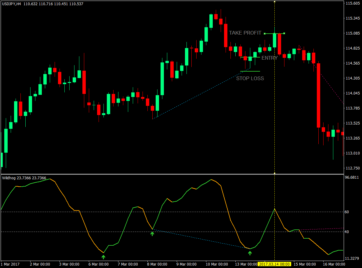 Forex Trading with Divergences 6 Forex Trading with Divergences 6