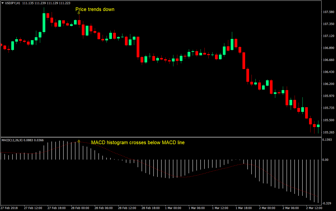 Dual MACD Cross Forex Trading Strategy 2 dual macd cross forex trading strategy 02