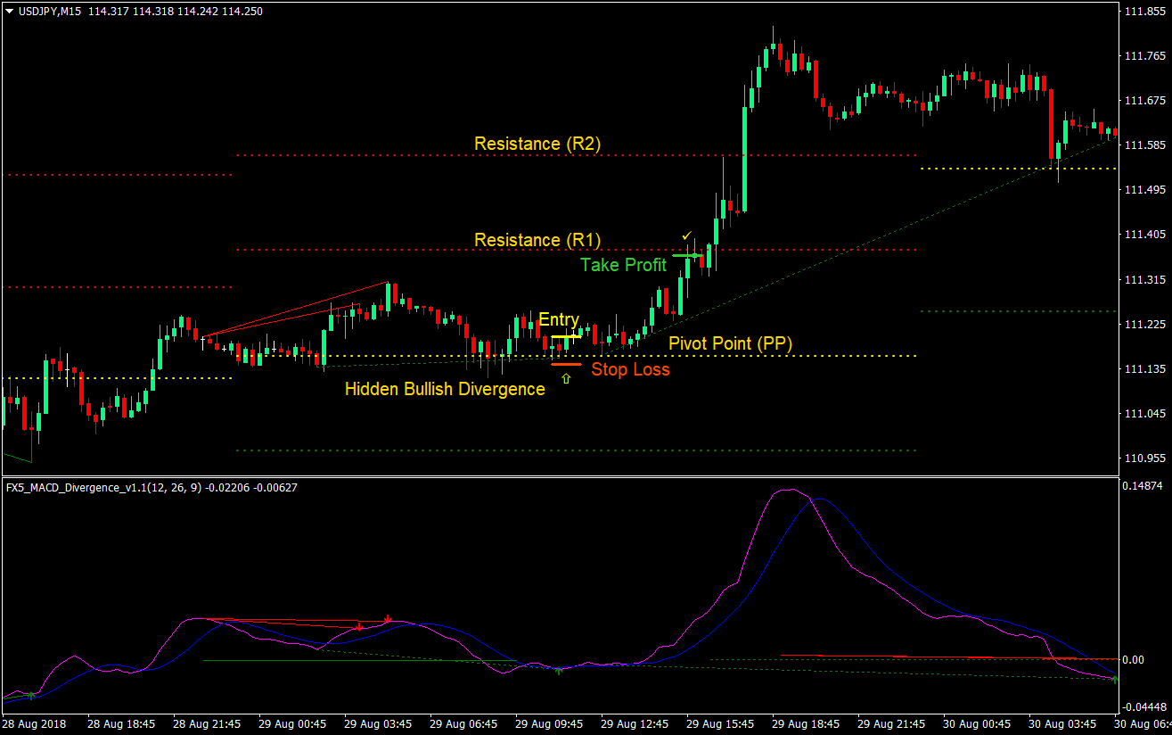 MACD Pivot Point Divergence Day Forex Trading Strategy 3 MACD Pivot Point Divergence Day Trading Strategy 03