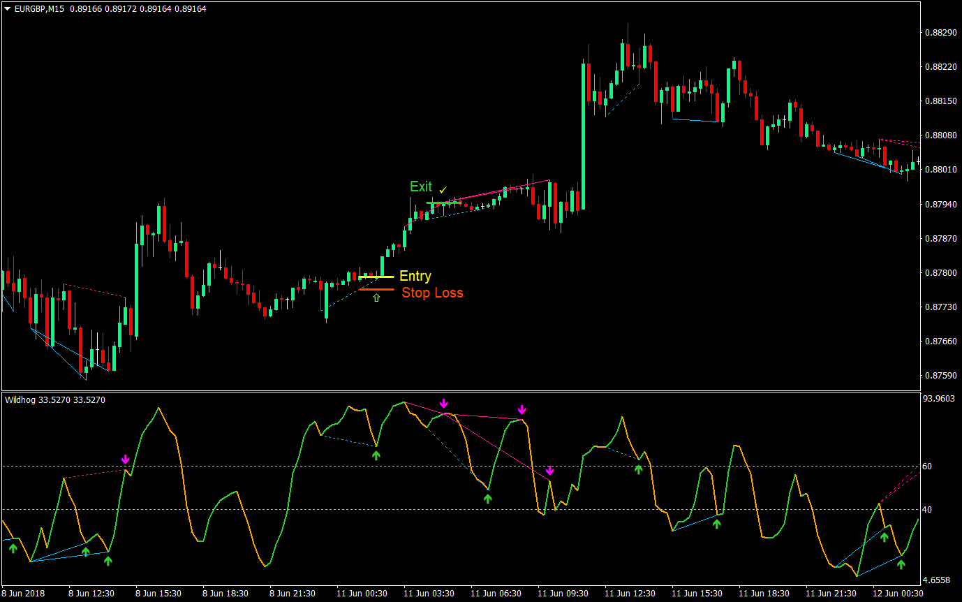Wildhog Hidden Divergence Forex Trading Strategy 04