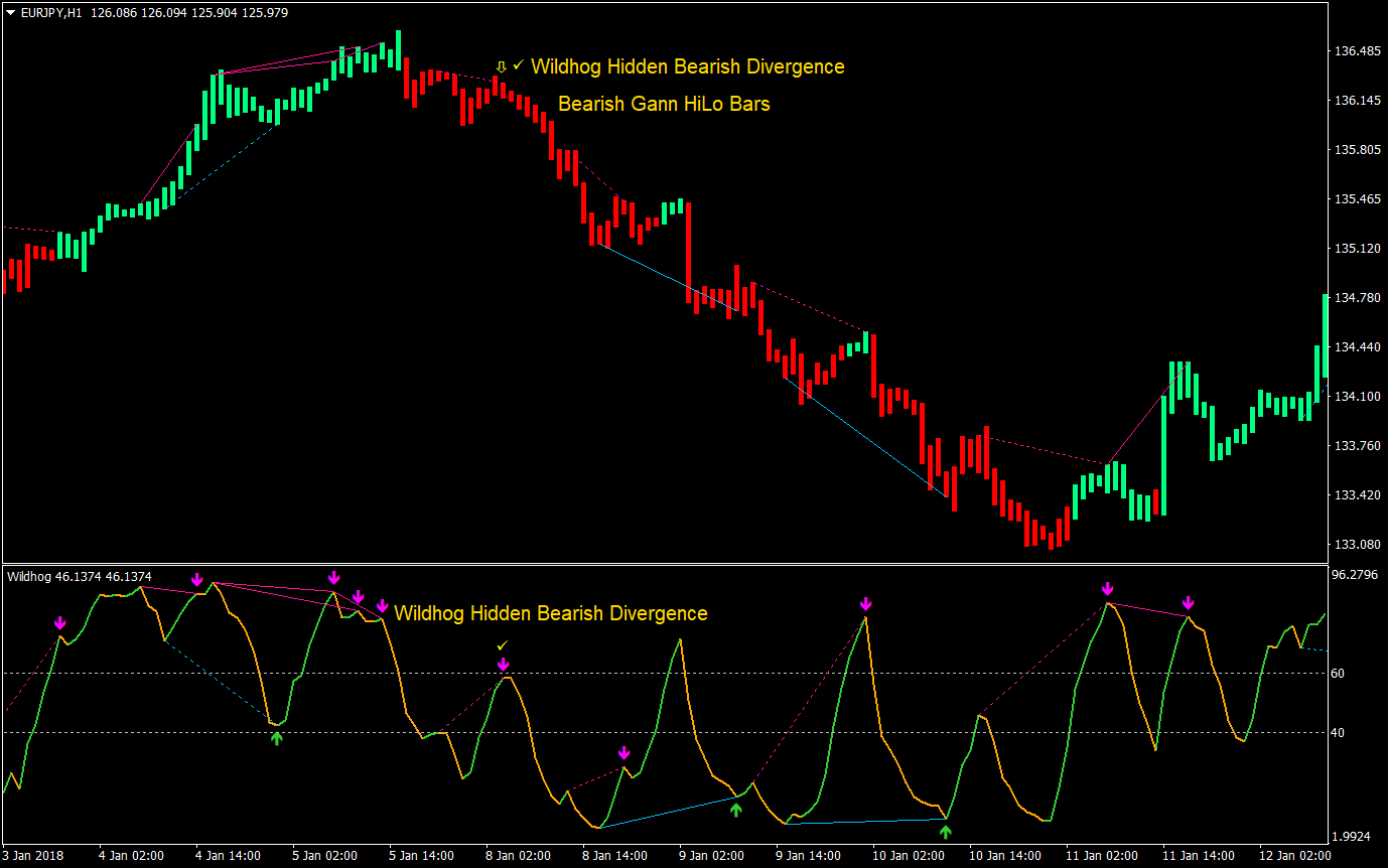 Wildhog Hidden Divergence Forex Trading Strategy 05