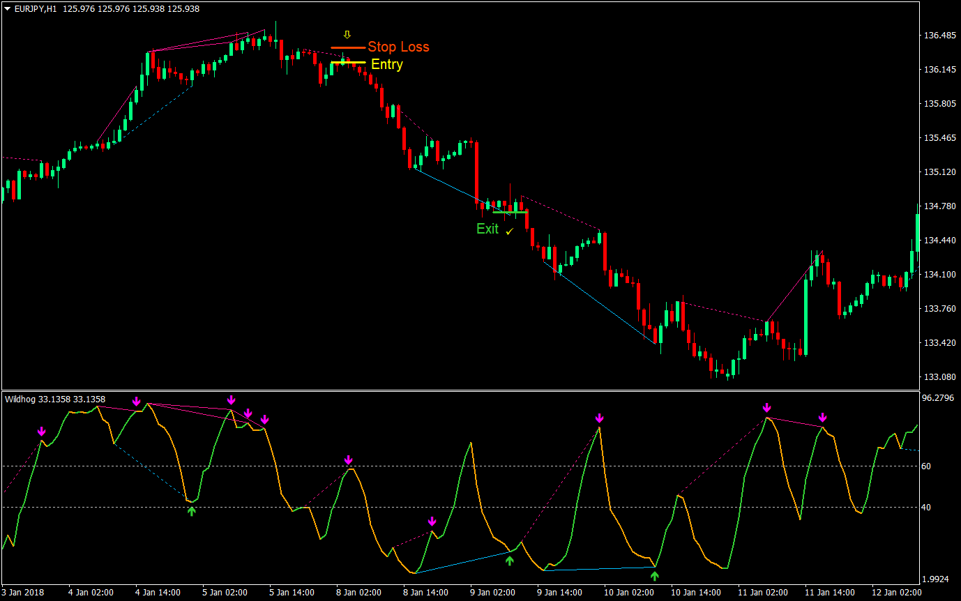 Wildhog Hidden Divergence Forex Trading Strategy 06