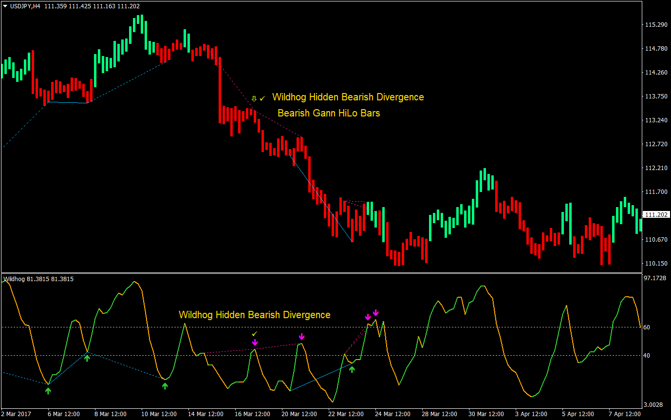 Wildhog Hidden Divergence Forex Trading Strategy 07