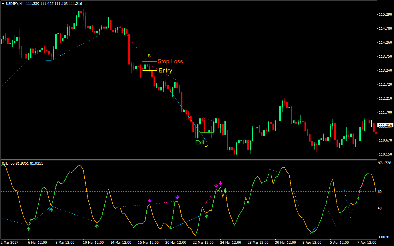 Wildhog Hidden Divergence Forex Trading Strategy 08