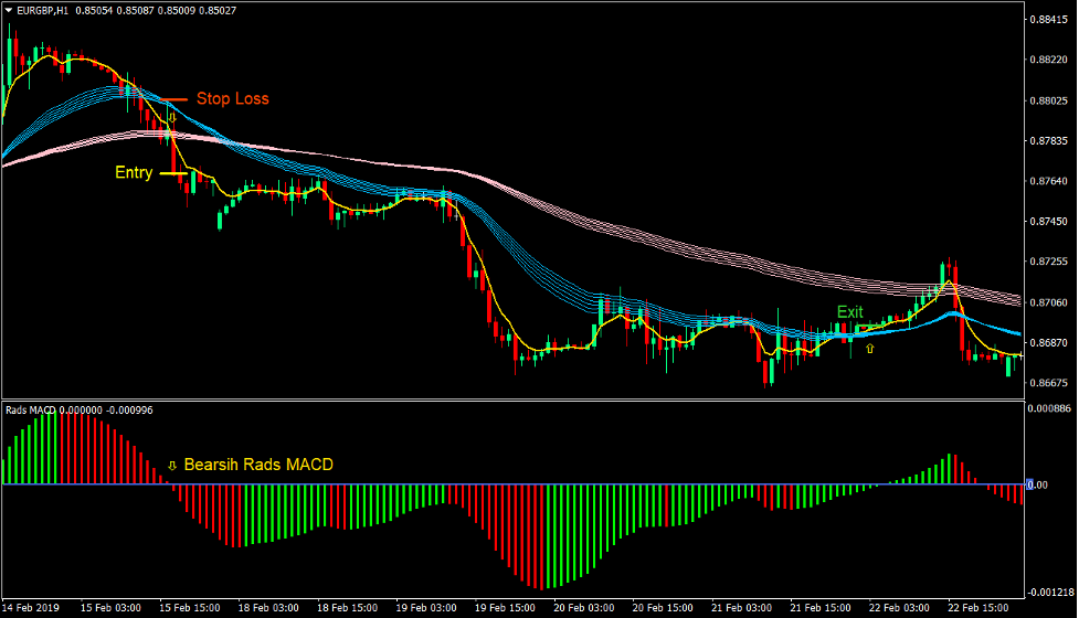 Rads MACD Trend Forex Trading Strategy 4 Rads MACD Trend Forex Trading Strategy 4