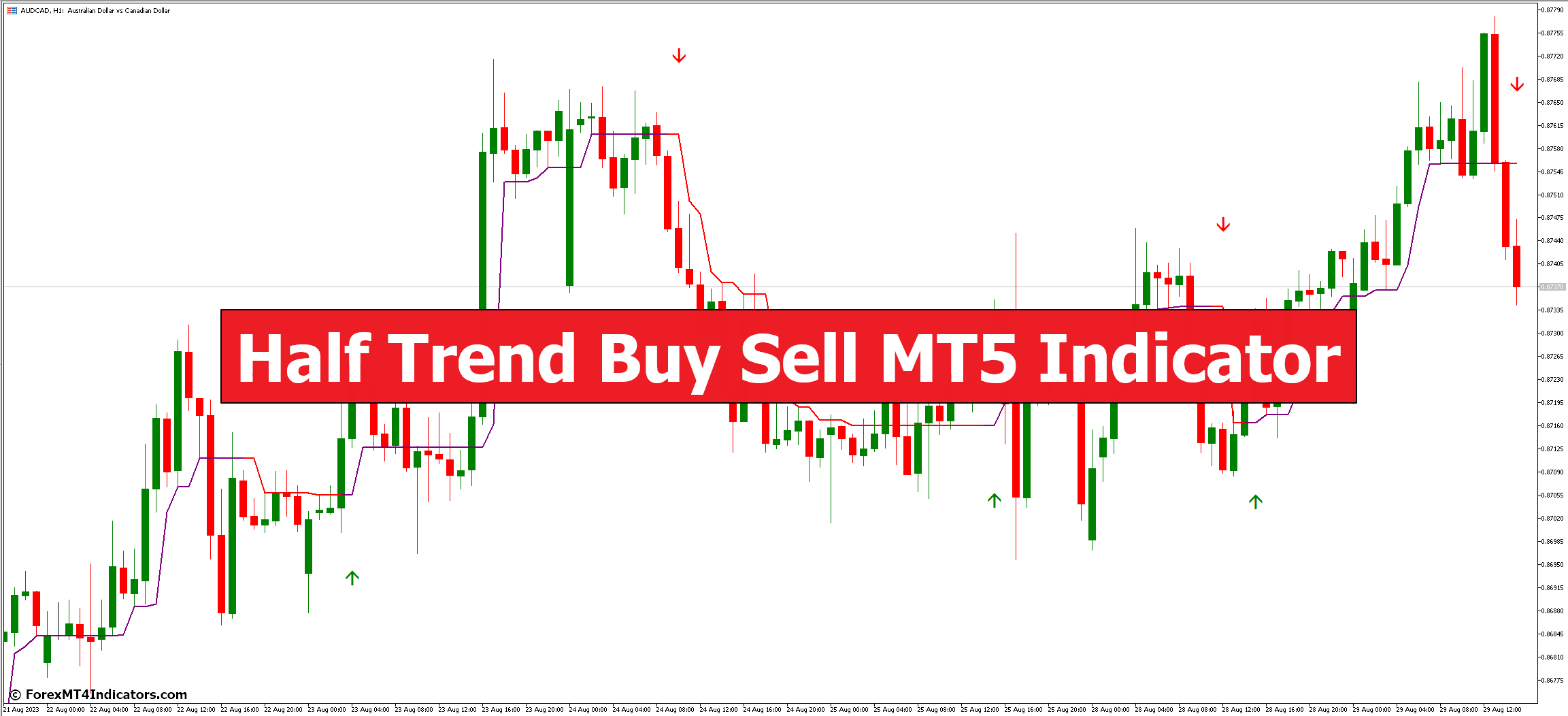 Half Trend Buy Sell MT5 Indicator Half Trend Buy Sell MT5 Indicator