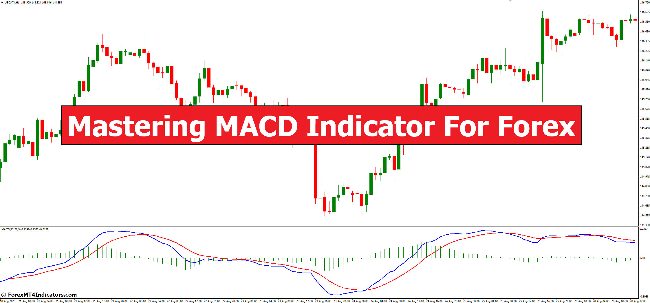 Mastering MACD Indicator for Forex Mastering MACD Indicator for Forex
