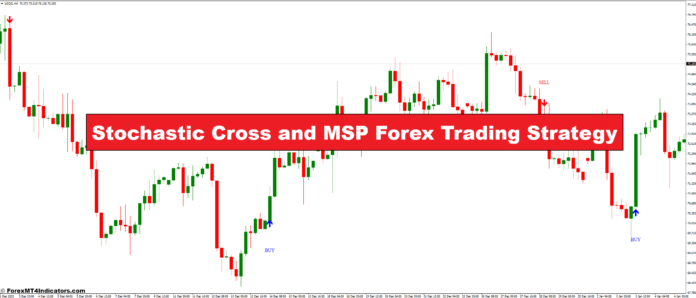 Stochastic Cross and MSP Forex Trading Strategy Stochastic Cross and MSP Forex Trading Strategy