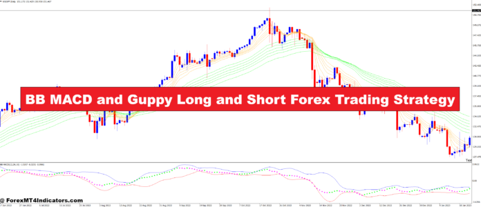 BB MACD and Guppy Long and Short Forex Trading Strategy BB MACD and Guppy Long and Short Forex Trading Strategy