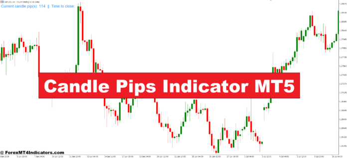 Candle Pips Indicator MT5