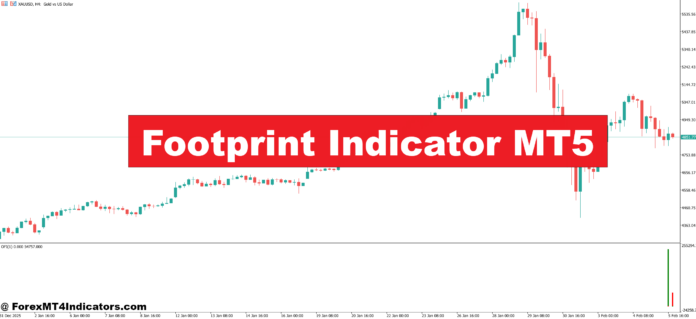 Footprint Indicator MT5