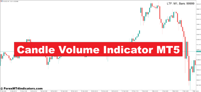 Candle Volume Indicator MT5