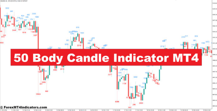50 Body Candle Indicator MT4