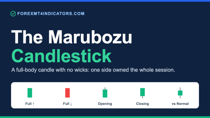 The marubozu candlestick pattern: a full-body candle with no wicks