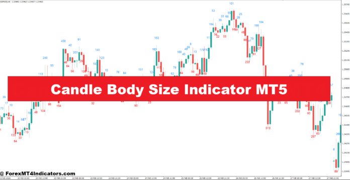 Candle Body Size Indicator MT5